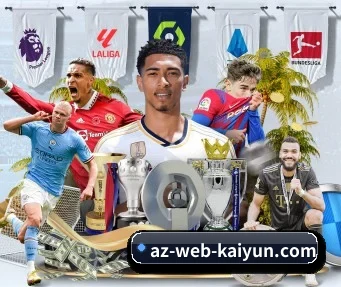 开云体育 APP - kaiyun sports